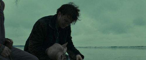 RdM1-Potterish13387.jpg