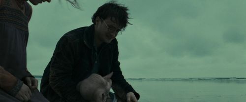 RdM1-Potterish13388.jpg