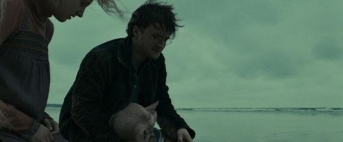 RdM1-Potterish13389.jpg