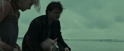 RdM1-Potterish13390.jpg