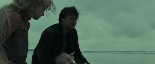 RdM1-Potterish13393.jpg