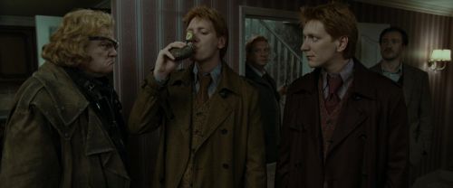 RdM1-Potterish1345.jpg