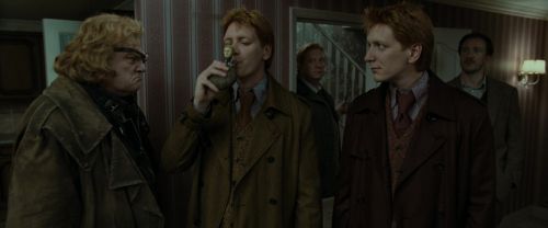 RdM1-Potterish1346.jpg