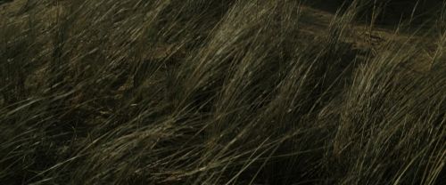 RdM1-Potterish13485.jpg