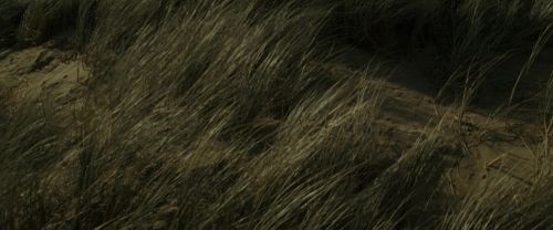 Click to view full size image
==============
RdM1-Potterish13489.jpg RdM1-Potterish13489.jpg