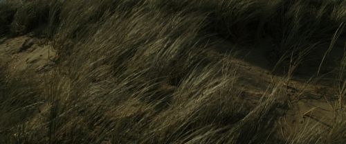 RdM1-Potterish13490.jpg