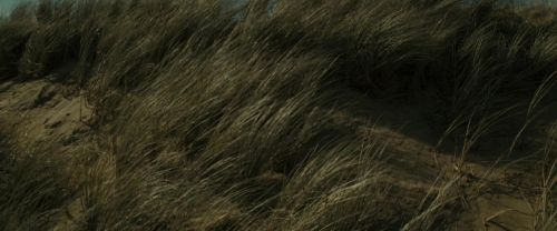 RdM1-Potterish13492.jpg