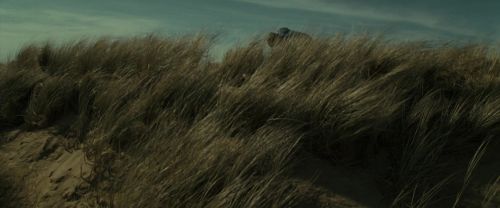 Click to view full size image
==============
RdM1-Potterish13497.jpg RdM1-Potterish13497.jpg