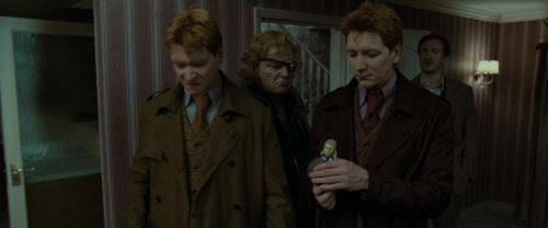 RdM1-Potterish1351.jpg