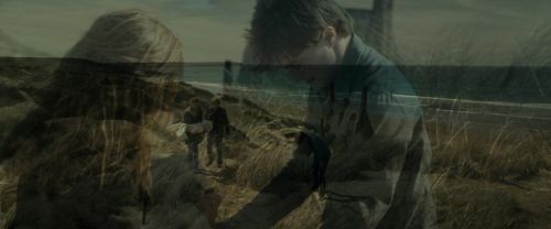 Click to view full size image
==============
RdM1-Potterish13526.jpg RdM1-Potterish13526.jpg