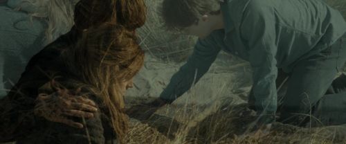 Click to view full size image
==============
RdM1-Potterish13550.jpg RdM1-Potterish13550.jpg