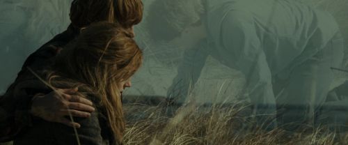 Click to view full size image
==============
RdM1-Potterish13551.jpg RdM1-Potterish13551.jpg