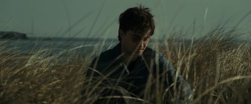 RdM1-Potterish13569.jpg