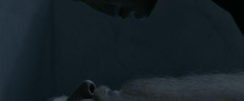 Click to view full size image
==============
RdM1-Potterish13629.jpg RdM1-Potterish13629.jpg