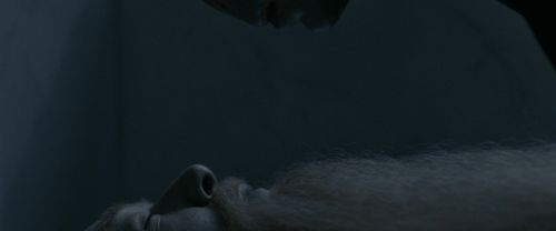 RdM1-Potterish13630.jpg