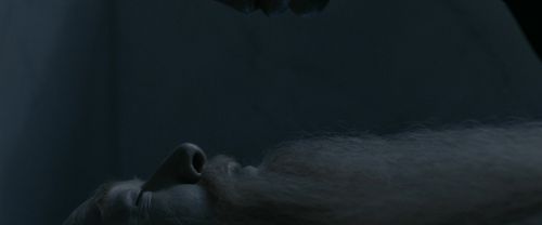 RdM1-Potterish13631.jpg