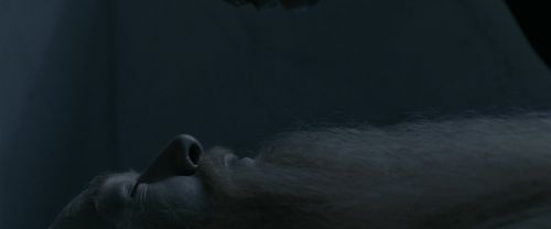 RdM1-Potterish13632.jpg