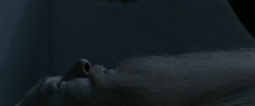 Click to view full size image
==============
RdM1-Potterish13633.jpg RdM1-Potterish13633.jpg