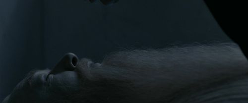 Click to view full size image
==============
RdM1-Potterish13635.jpg RdM1-Potterish13635.jpg