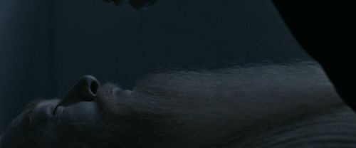 Click to view full size image
==============
RdM1-Potterish13636.jpg RdM1-Potterish13636.jpg