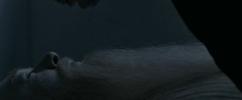 RdM1-Potterish13637.jpg