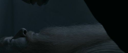 RdM1-Potterish13638.jpg