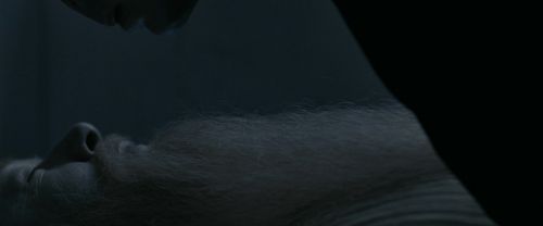 Click to view full size image
==============
RdM1-Potterish13639.jpg RdM1-Potterish13639.jpg
