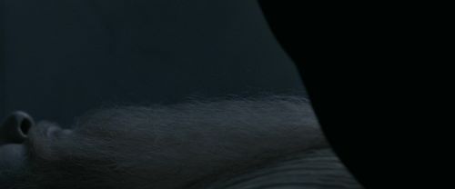 RdM1-Potterish13643.jpg