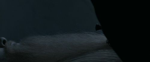 Click to view full size image
==============
RdM1-Potterish13644.jpg RdM1-Potterish13644.jpg