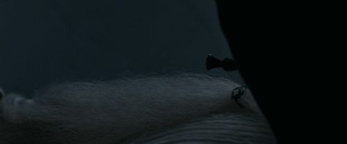 RdM1-Potterish13645.jpg