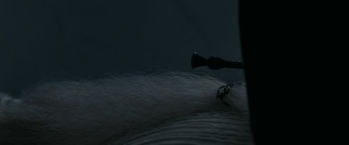 RdM1-Potterish13646.jpg