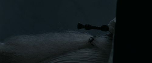 RdM1-Potterish13647.jpg