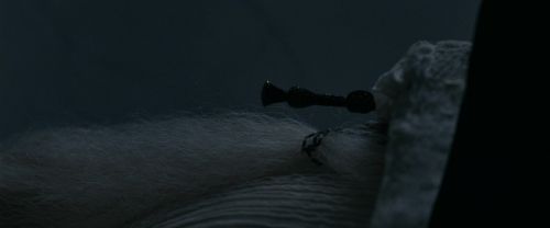 RdM1-Potterish13648.jpg