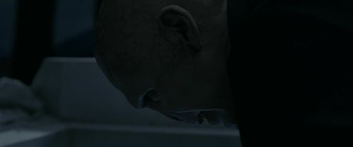 RdM1-Potterish13665.jpg