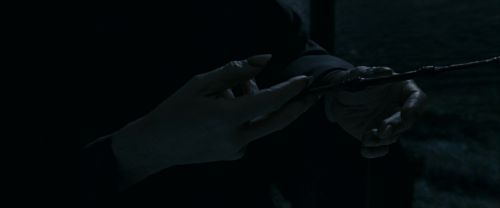 RdM1-Potterish13682.jpg
