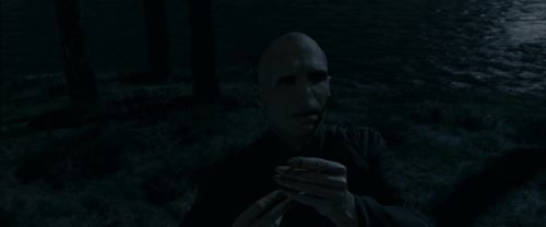RdM1-Potterish13692.jpg