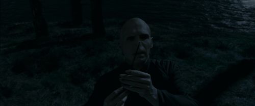 RdM1-Potterish13693.jpg