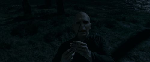 RdM1-Potterish13694.jpg