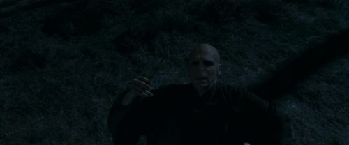 RdM1-Potterish13698.jpg