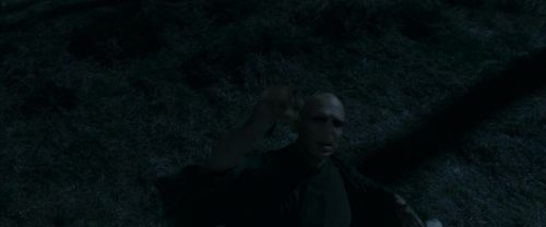 RdM1-Potterish13699.jpg
