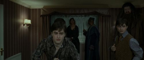 RdM1-Potterish1425.jpg