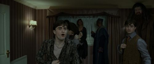 RdM1-Potterish1426.jpg