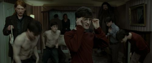 RdM1-Potterish1444.jpg