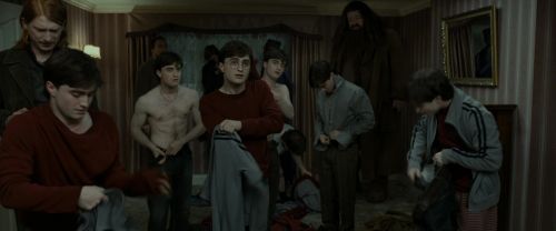 RdM1-Potterish1459.jpg