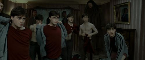RdM1-Potterish1466.jpg