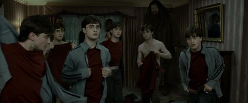 RdM1-Potterish1467.jpg