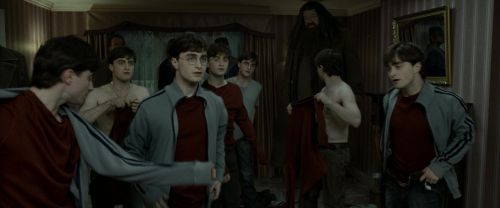 RdM1-Potterish1468.jpg