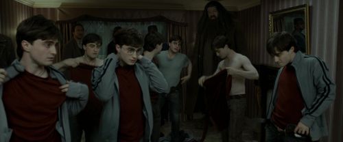 Click to view full size image
==============
RdM1-Potterish1469.jpg RdM1-Potterish1469.jpg