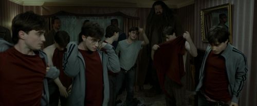 Click to view full size image
==============
RdM1-Potterish1470.jpg RdM1-Potterish1470.jpg