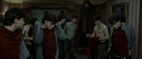 RdM1-Potterish1471.jpg